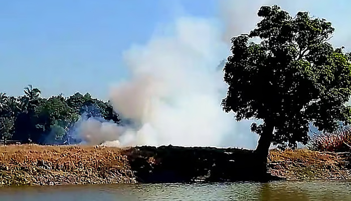 ব্রাজিলে বাস-ট্রাকের সংঘর্ষে নিহত ৪১